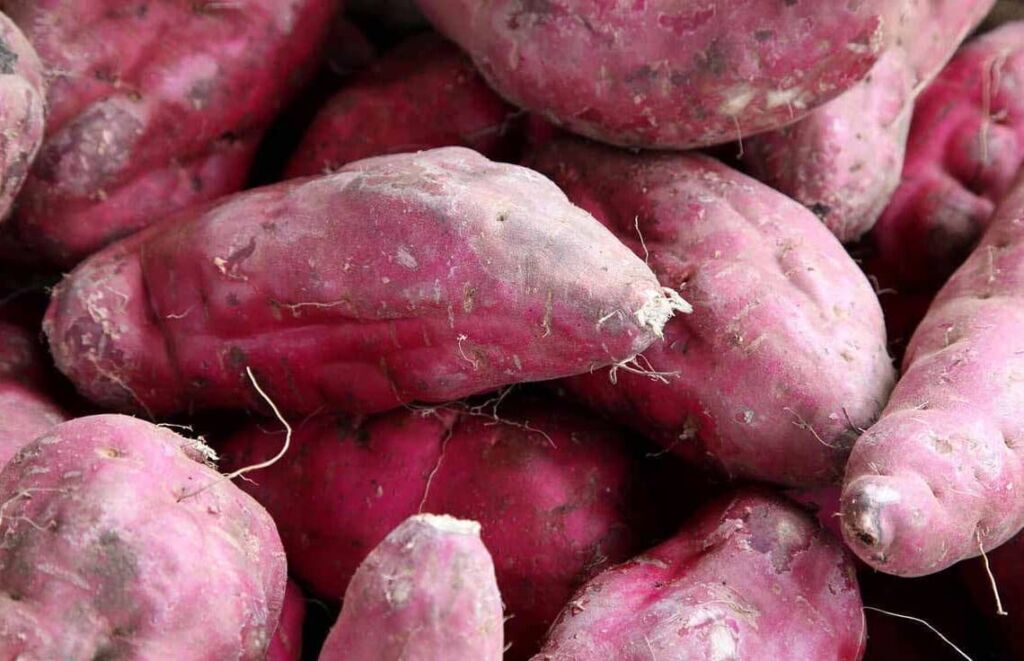 Várias batatas doces agrupadas em uma mesa, uma em cima da outra.