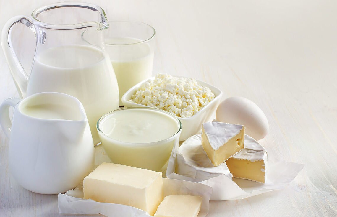 Mesa com diferentes opções de alimentos prebióticos, como leite fermentado, iogurte e queijos.