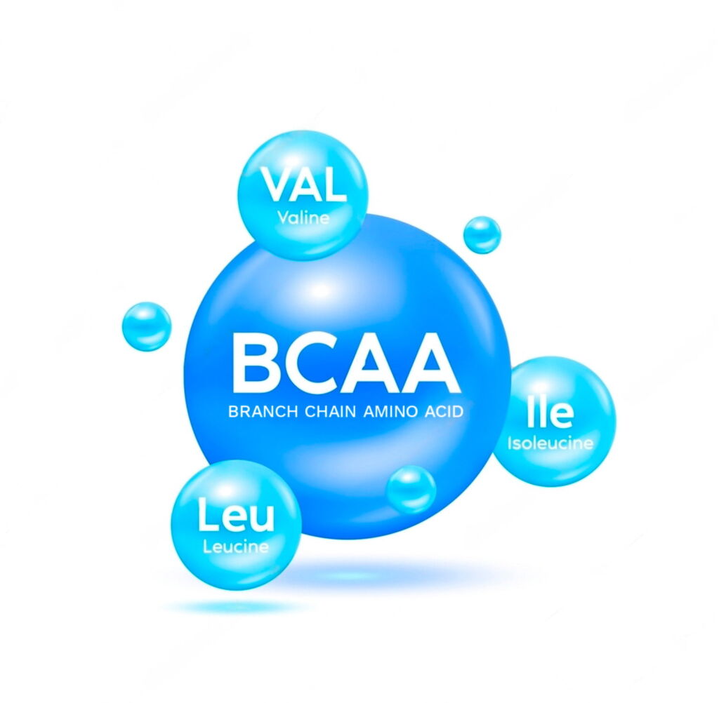 Círculo maior escrito BCAA com 3 círculos menores ao redor, uma com as iniciais VAL, outra LEU e ILE.