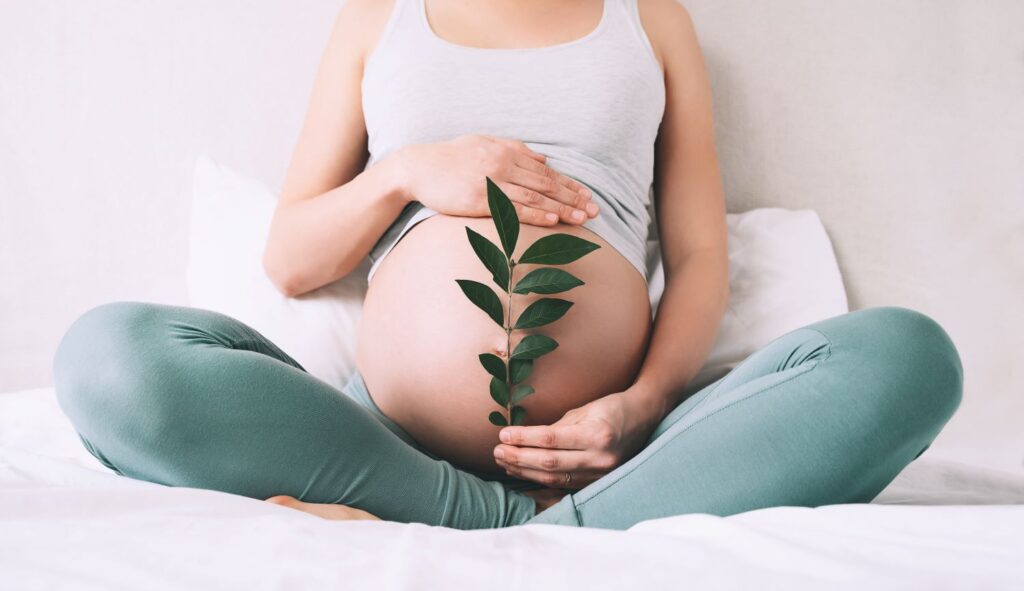 Mulher grávida sentada segurando um ramo de folhas na frente da sua barriga