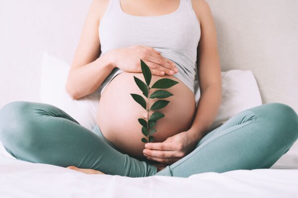 Mulher grávida sentada segurando um ramo de folhas na frente da sua barriga